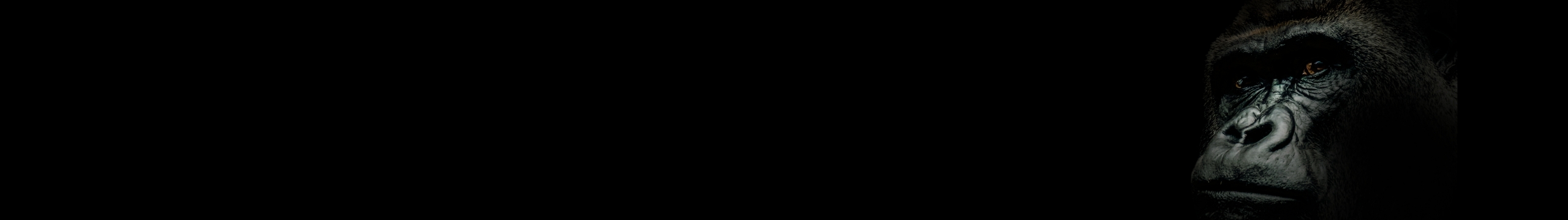 株式会社Mountain Gorilla │ お役立ち情報